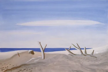 Driftwood of the Grand Raft, 1987